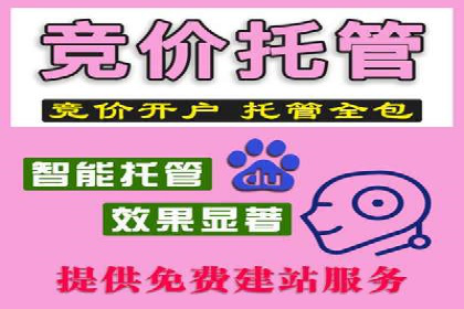 行业趋势下的SEM推广竞价代运营策略